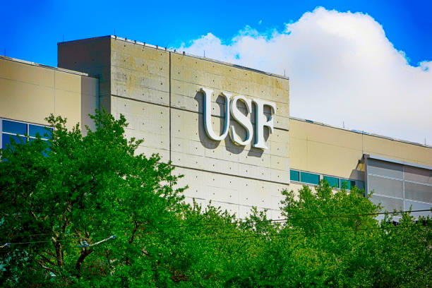USF Health: Transforming Healthcare Through Innovation and Compassionate Care